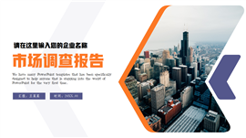 简约大气市场调查报告ppt模板