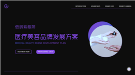 低调紫极简医疗美容发展方案PPT模板