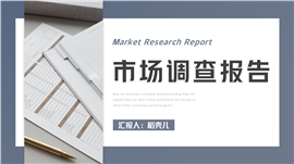 简约市场调查报告ppt模板