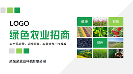 绿色农业发展招商引资合作农产品宣传介绍ppt模板