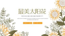 大气向日葵太阳花教学通用ppt课件