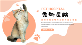 宠物医院宠物用品宣传活动PPT模板