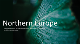 绿植北欧风商务工作汇报通用ppt模板