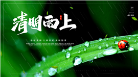 清明雨上清明节扫墓祭祀传统节日ppt模板