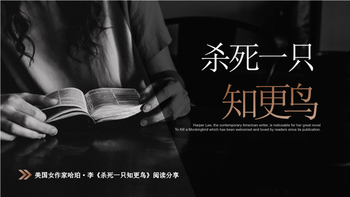 《杀死一只知更鸟》读书笔记ppt模板