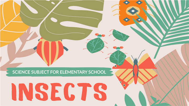 精美自然美学风昆虫科普课件ppt模板