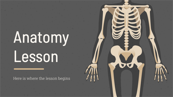 专业严谨人体解剖学课程讲座PPT模板
