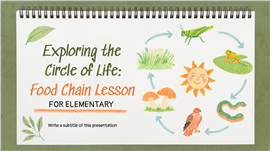 手绘写生簿风小学科学食物链教学PPT模板