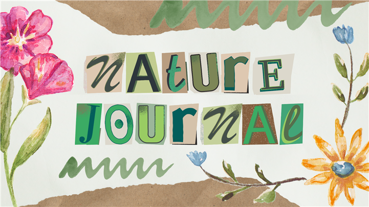 水彩手帐拼贴风自然观察日记ppt模板