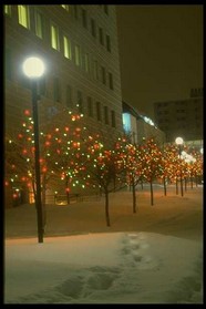 冰雪图片