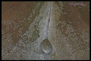 沙漠风光 47