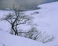 日本雪景风景图片