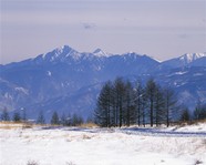 日本雪景图片