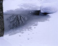 雪地风光图片下载