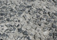 小路背景图片下载