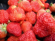 草莓水果素材图片下载