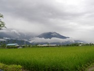 农村稻田风景图片下载