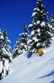 高清雪山滑雪图片下载