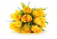黄玫瑰花高清图片