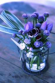 紫色花朵唯美图片下载