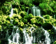 森林的瀑布图片下载
