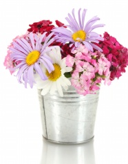 铁桶里的鲜花图片
