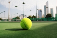 网球场绿色的球图片