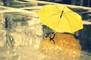 黄色雨伞图片下载
