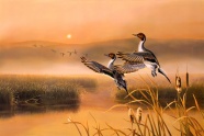 迁徙的鸟油画图片