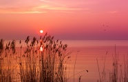 大海夕阳唯美图片