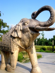 合肥大象雕塑图片