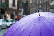 紫色雨伞雨滴图片