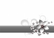 黑白色调花卉背景图片