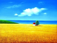 黄色麦田风景画图片