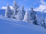 东北雪景图片