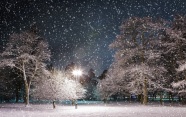 浪漫雪景图片