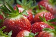 红色草莓水果图片