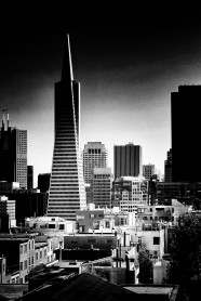 旧金山泛美大厦黑白图片