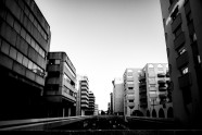 城市楼房黑白图片
