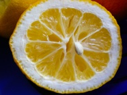 高清黄色鲜橙图片