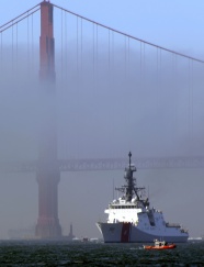 浓雾中行进的轮船图片