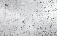 雨水节气图片