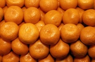 水果摊橘子图片