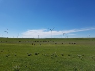 草原电力风车风景图片