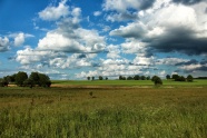 波兰草原景观图片