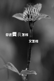 伤感图片带字