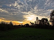 草地日落风景图片