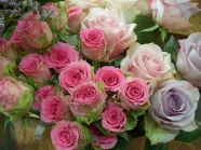 浪漫粉色玫瑰花束图片