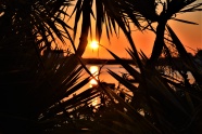 巴厘岛日落剪影图片