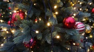 美丽圣诞树装饰图片